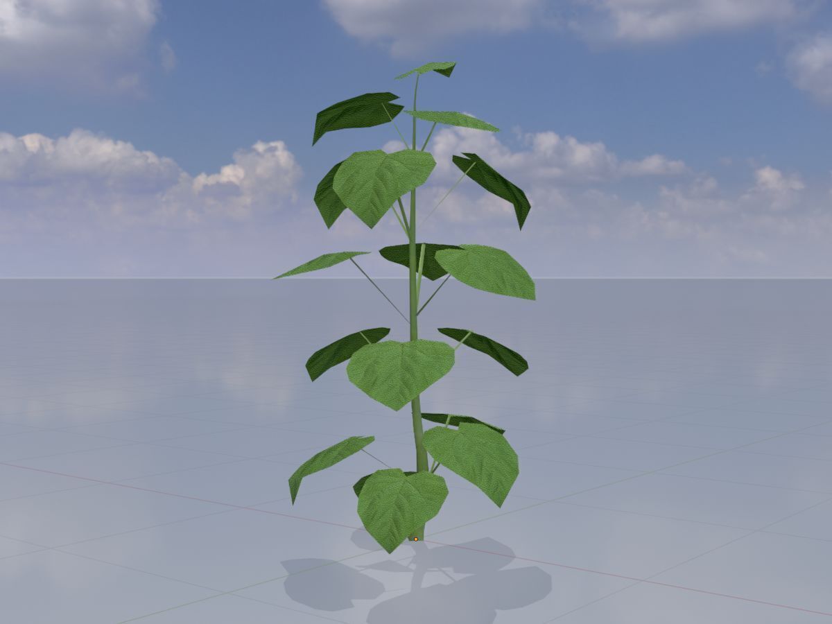 Empress tree summer LOD1 2000mm Low-poly 3D model_2