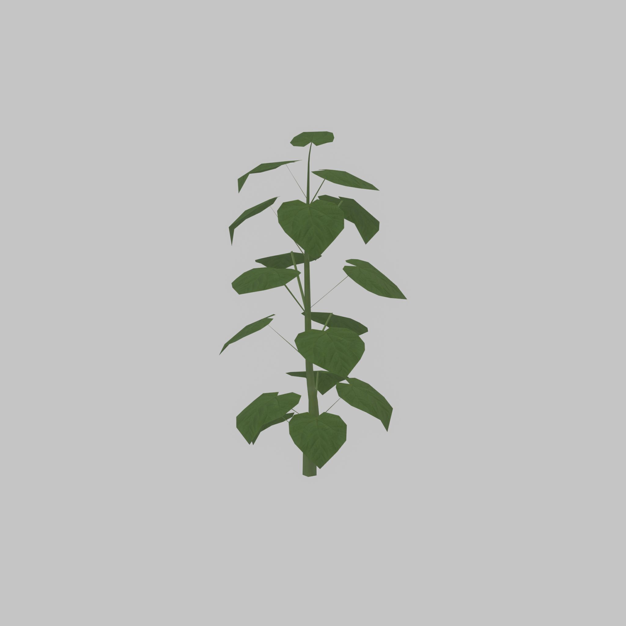 Empress tree summer LOD1 2000mm Low-poly 3D model_30