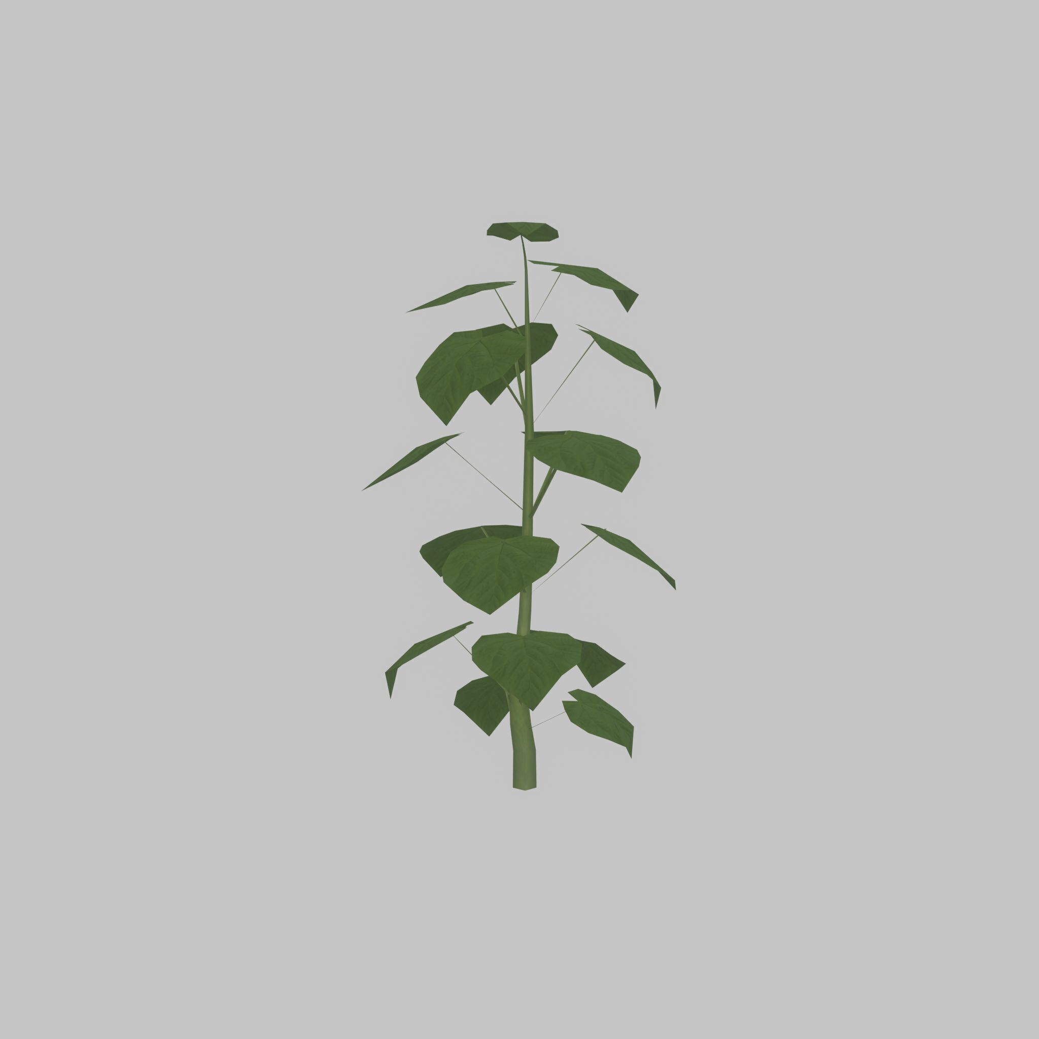 Empress tree summer LOD1 2000mm Low-poly 3D model_39