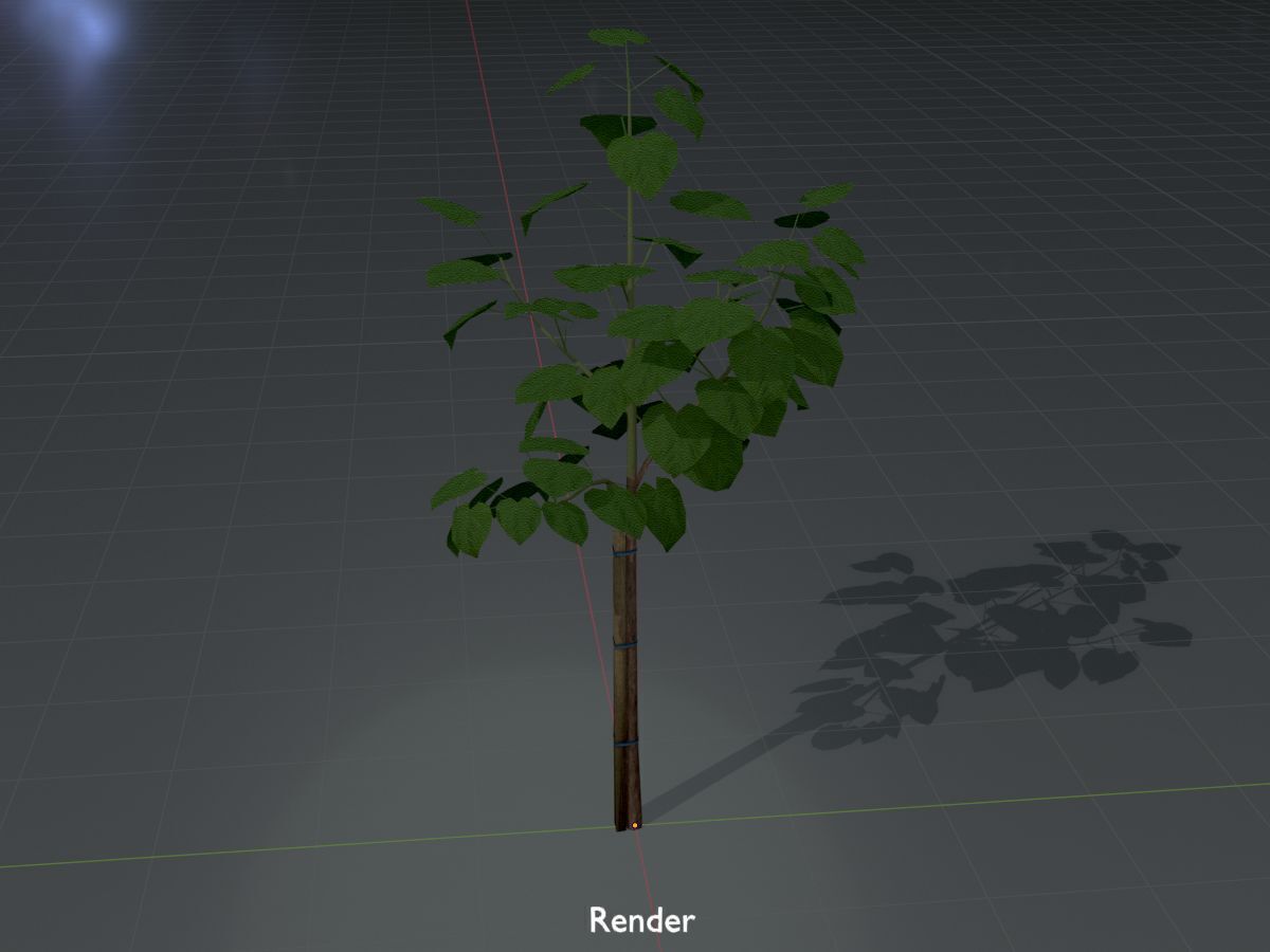 Empress tree summer LOD1 5000mm Low-poly 3D model_16