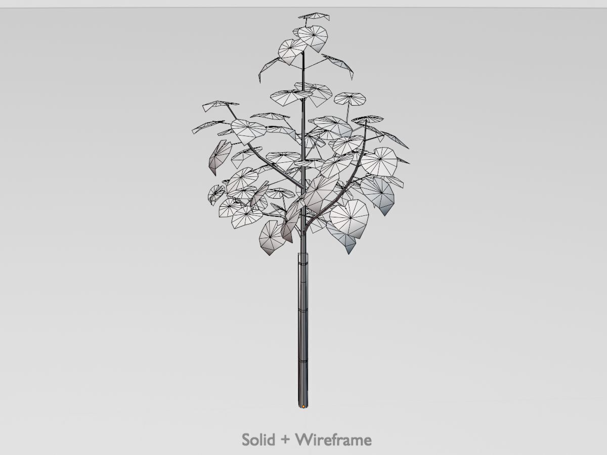 Empress tree summer LOD1 5000mm Low-poly 3D model_12