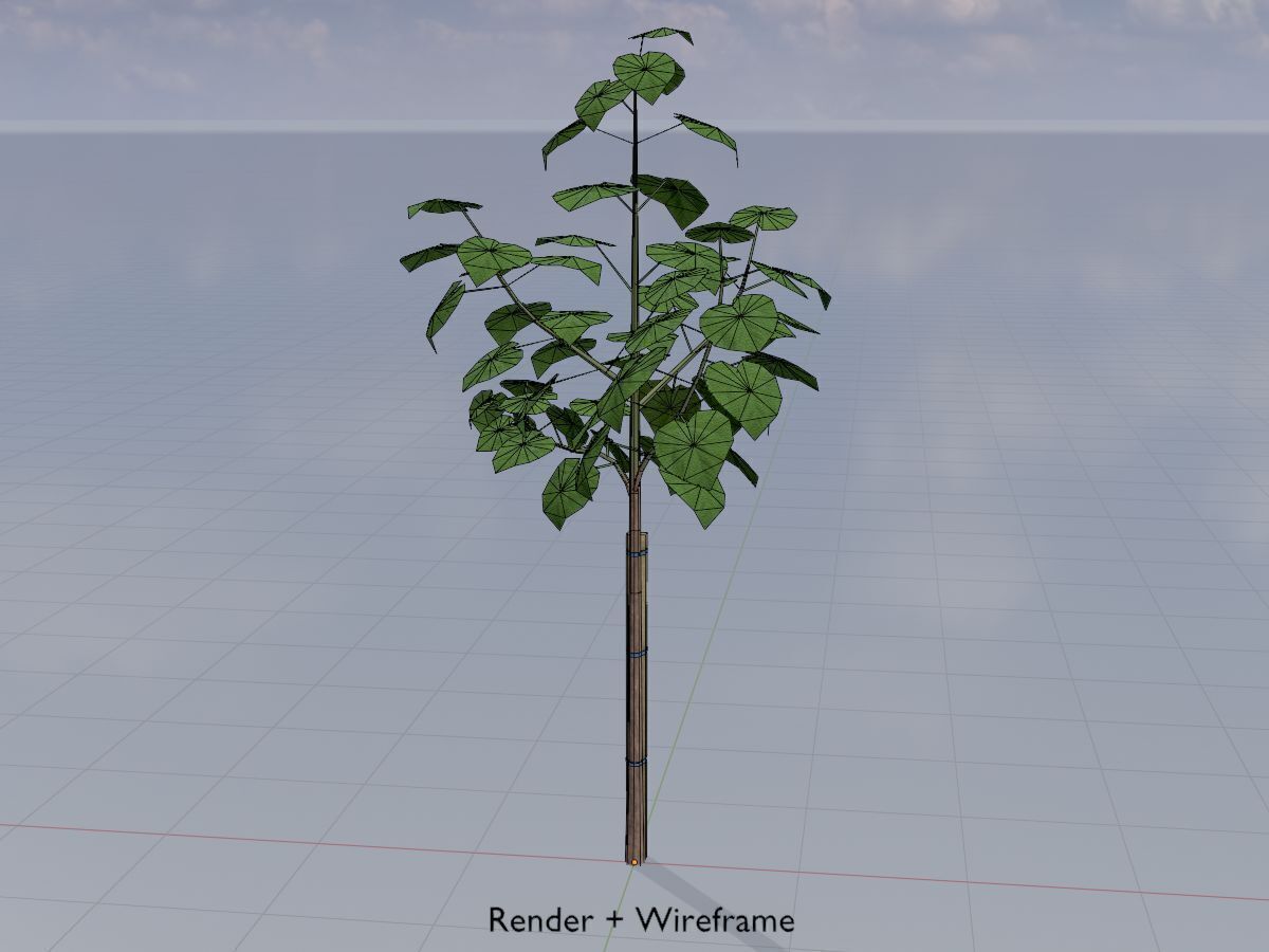 Empress tree summer LOD1 5000mm Low-poly 3D model_5