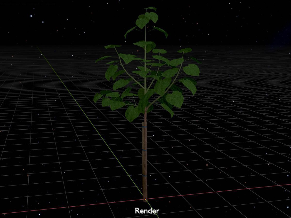 Empress tree summer LOD1 5000mm Low-poly 3D model_17