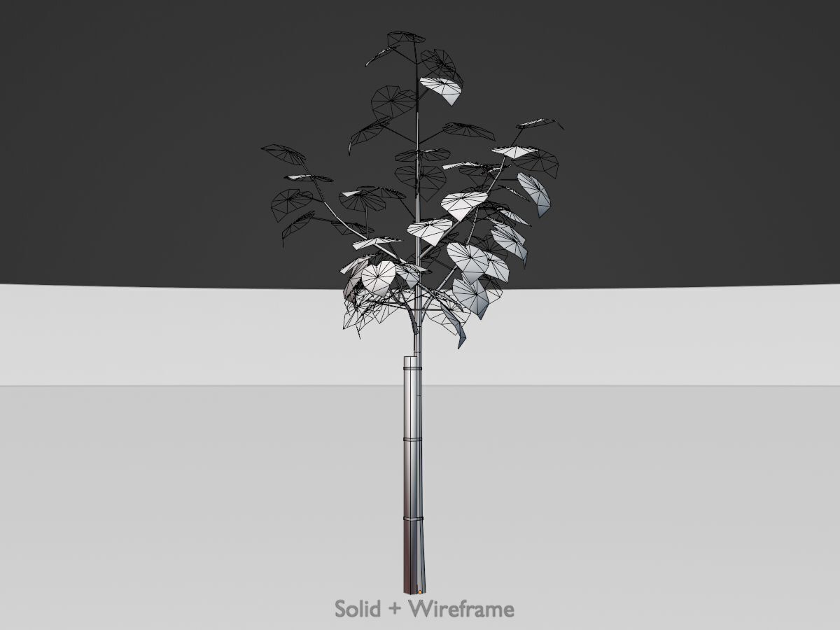 Empress tree summer LOD1 5000mm Low-poly 3D model_11