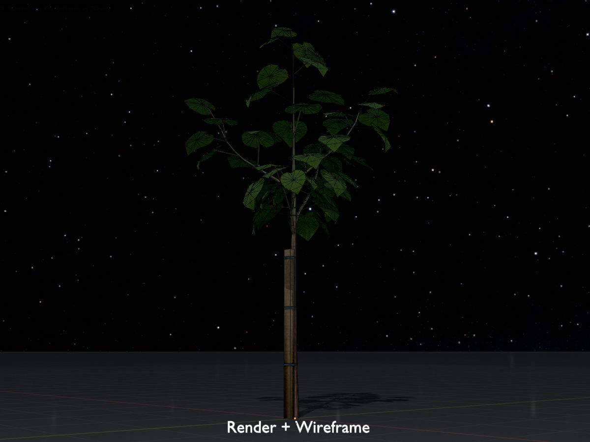 Empress tree summer LOD1 5000mm Low-poly 3D model_7