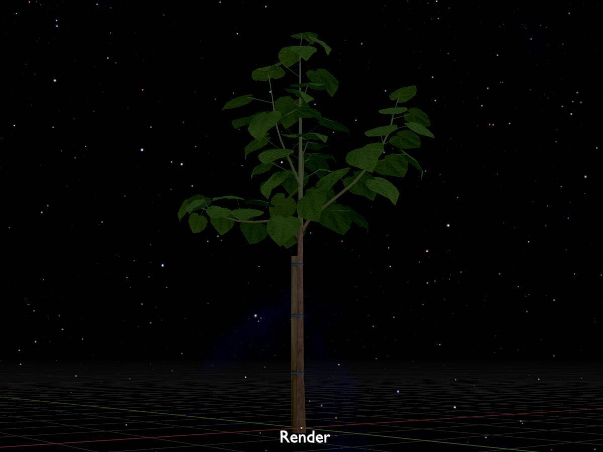 Empress tree summer LOD1 5000mm Low-poly 3D model_20