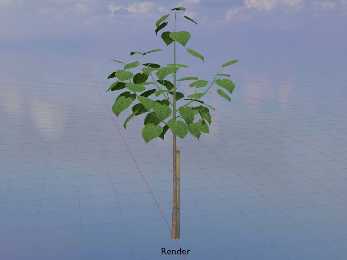 Empress tree summer LOD1 5000mm Low-poly 3D model_18