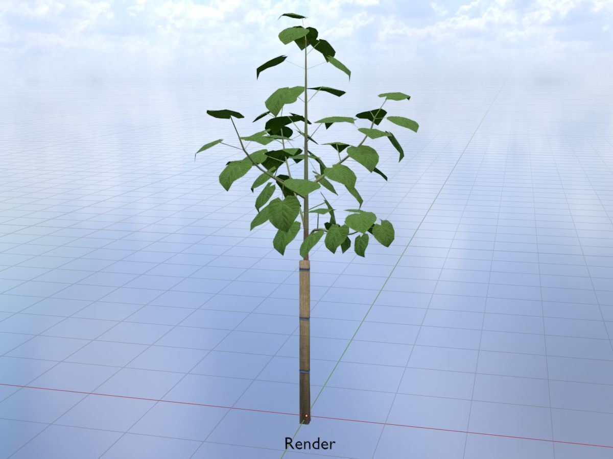 Empress tree summer LOD1 5000mm Low-poly 3D model_19