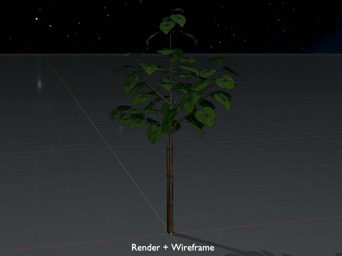 Empress tree summer LOD1 5000mm Low-poly 3D model_8