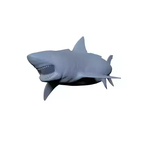 Megalodon 3D print model