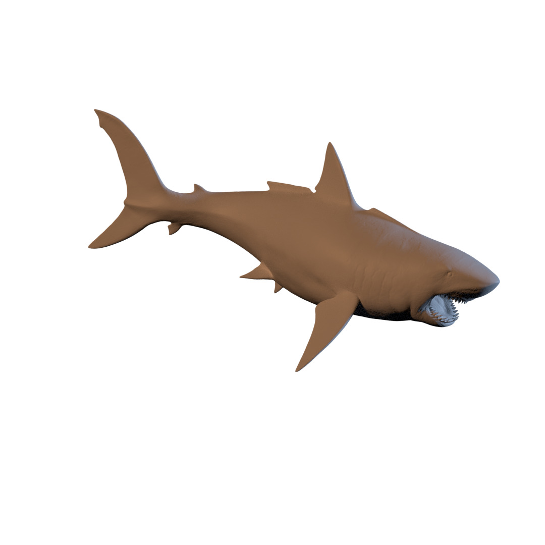 Megalodon 3D print model_1