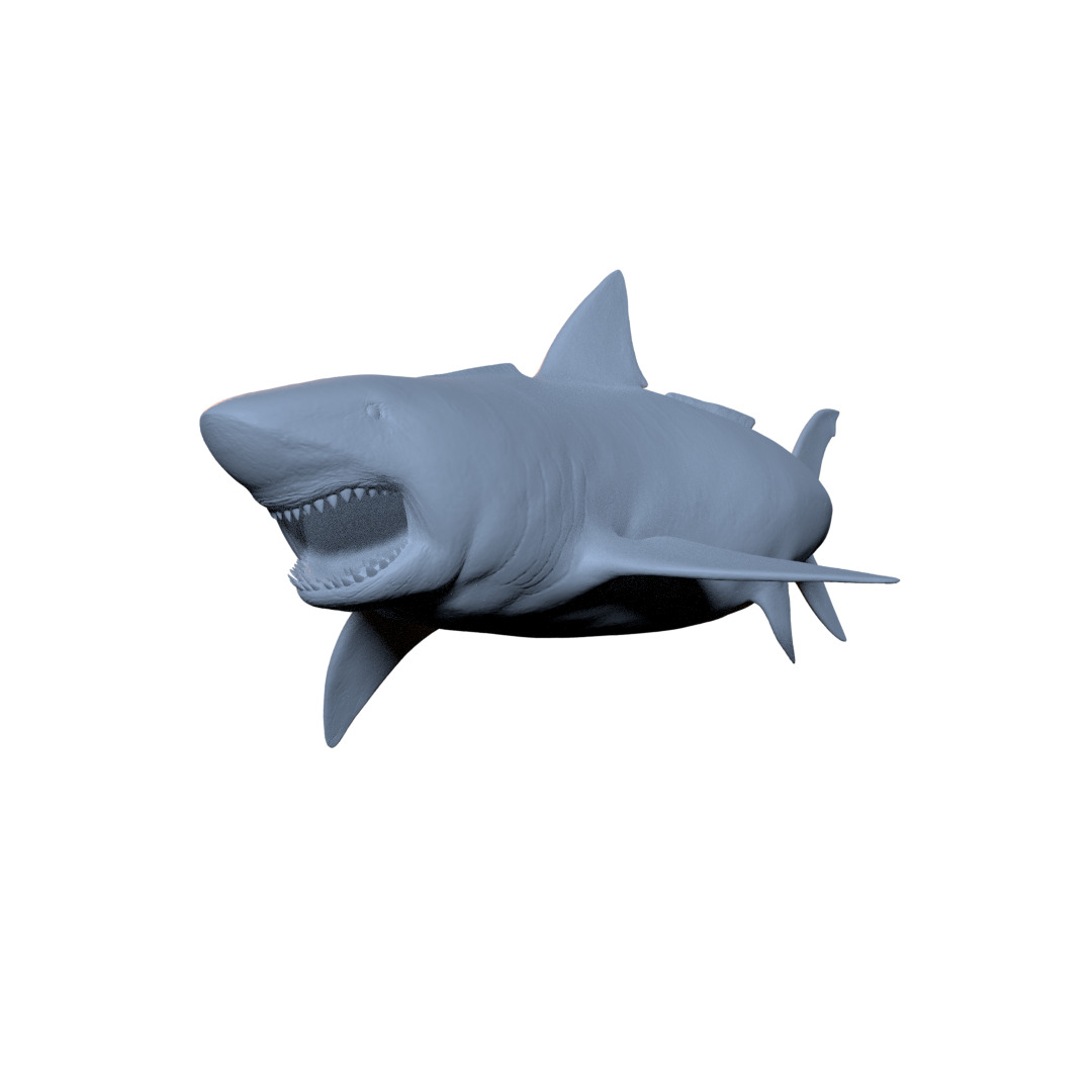 Megalodon 3D print model_9