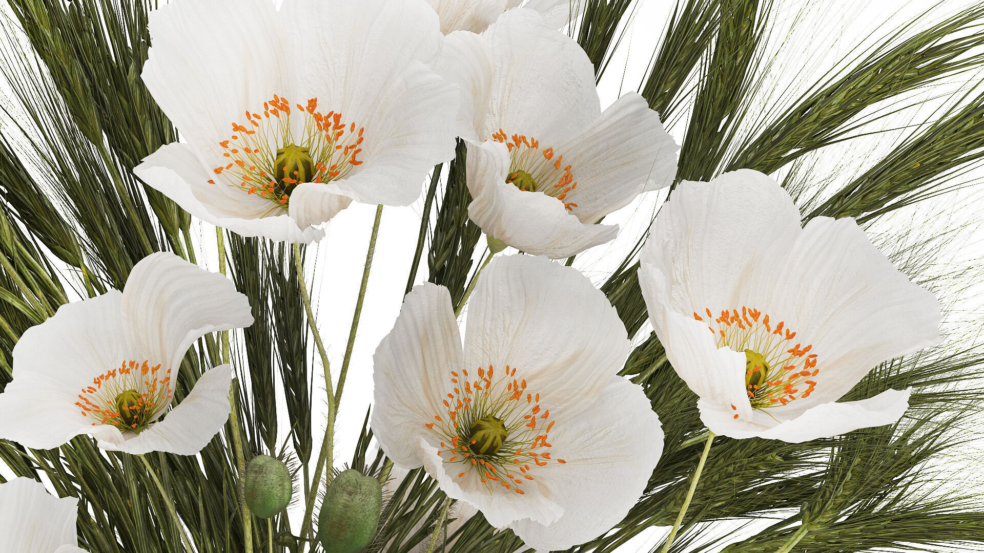 Summer Designer Bouquet Wild Flowers Poppy lilac 494 3D model_4