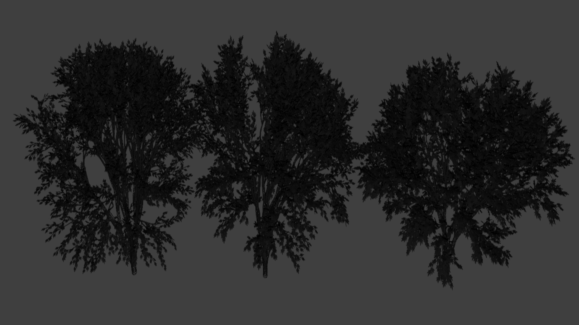 Maple Tree 3D model_1
