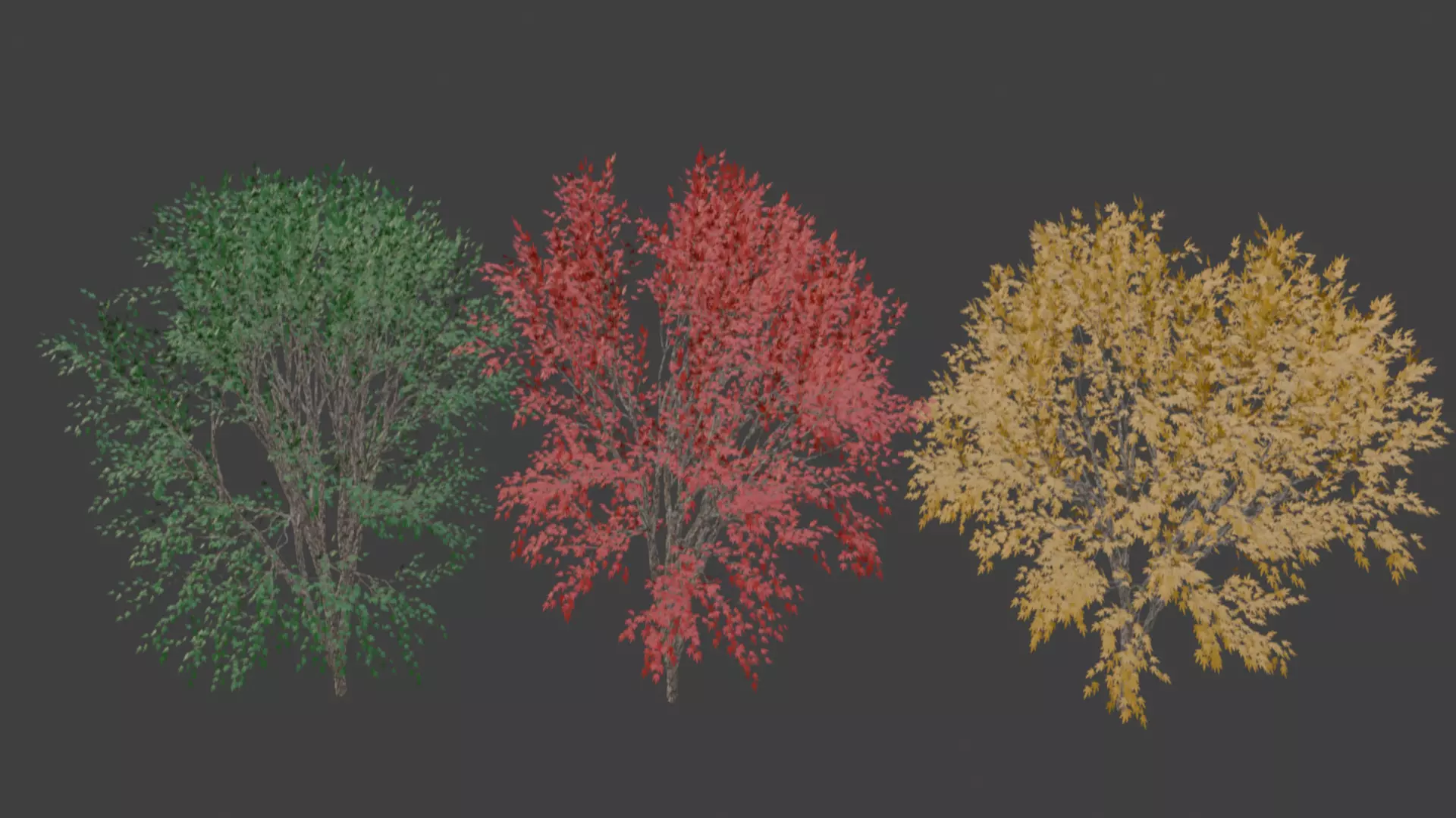 Maple Tree 3D model_0