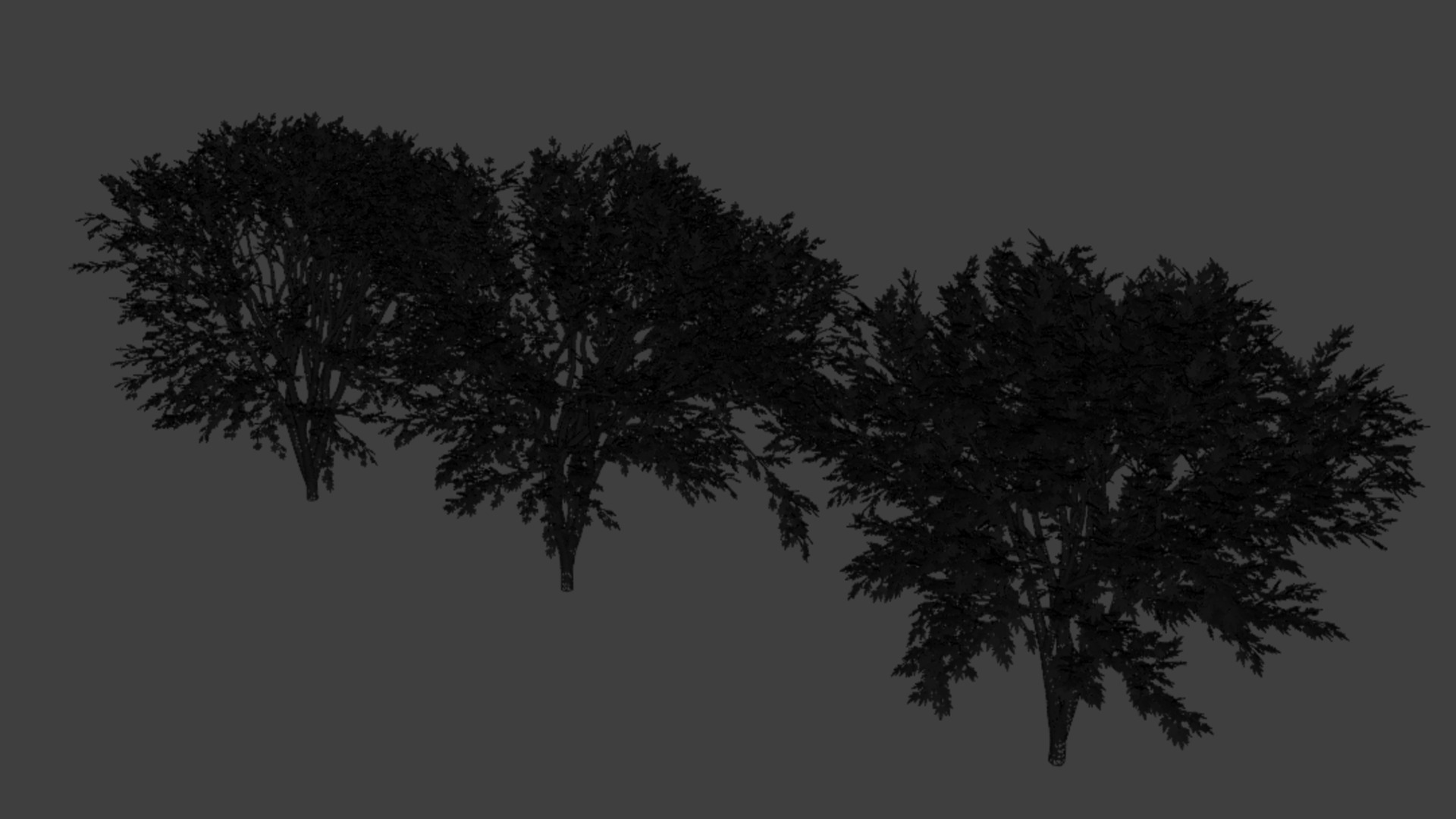 Maple Tree 3D model_3