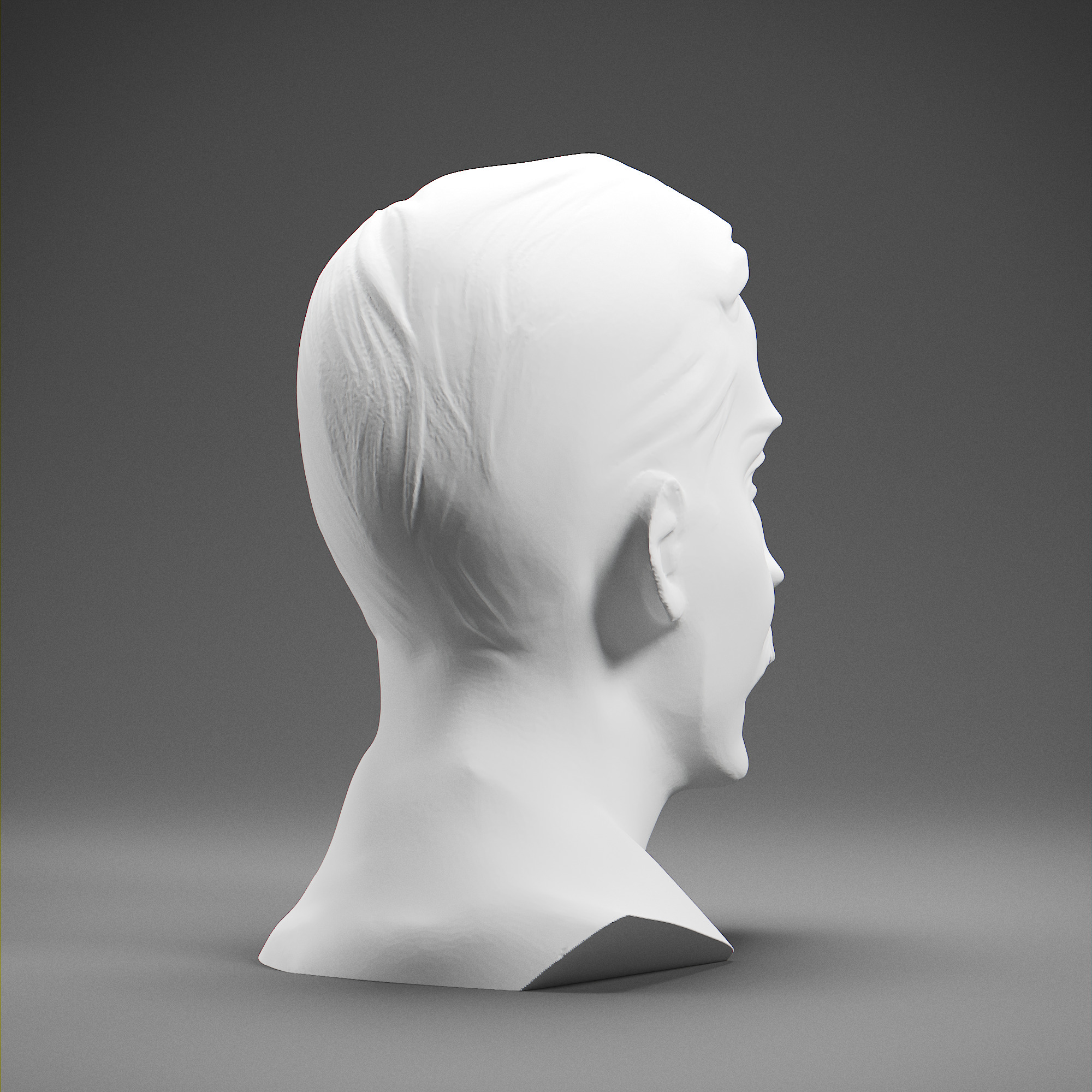 Stefan Zweig 3D print model_5