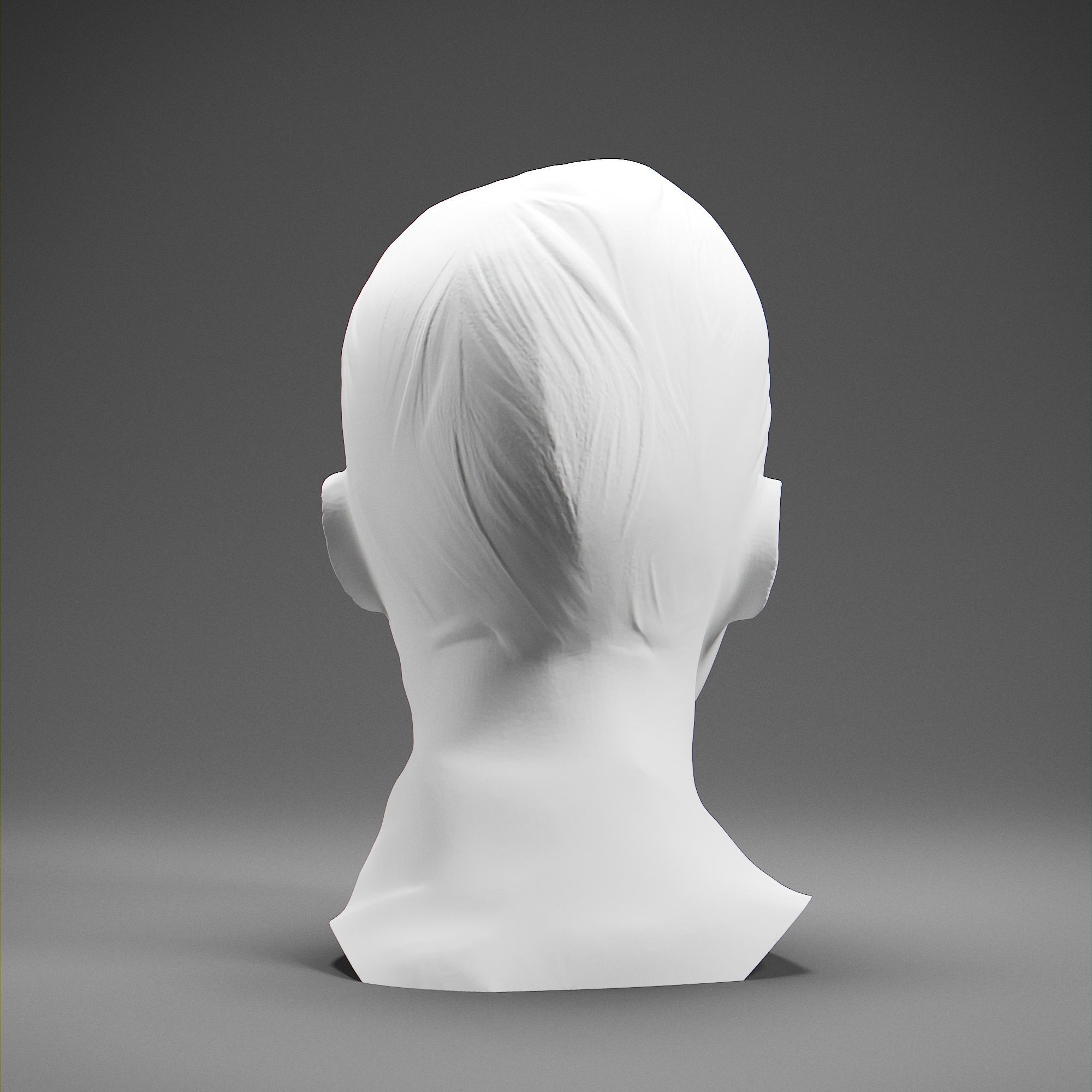 Stefan Zweig 3D print model_4