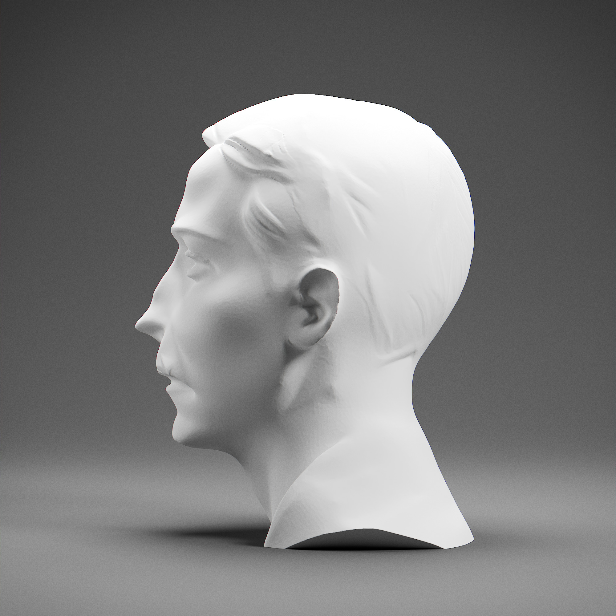 Stefan Zweig 3D print model_2