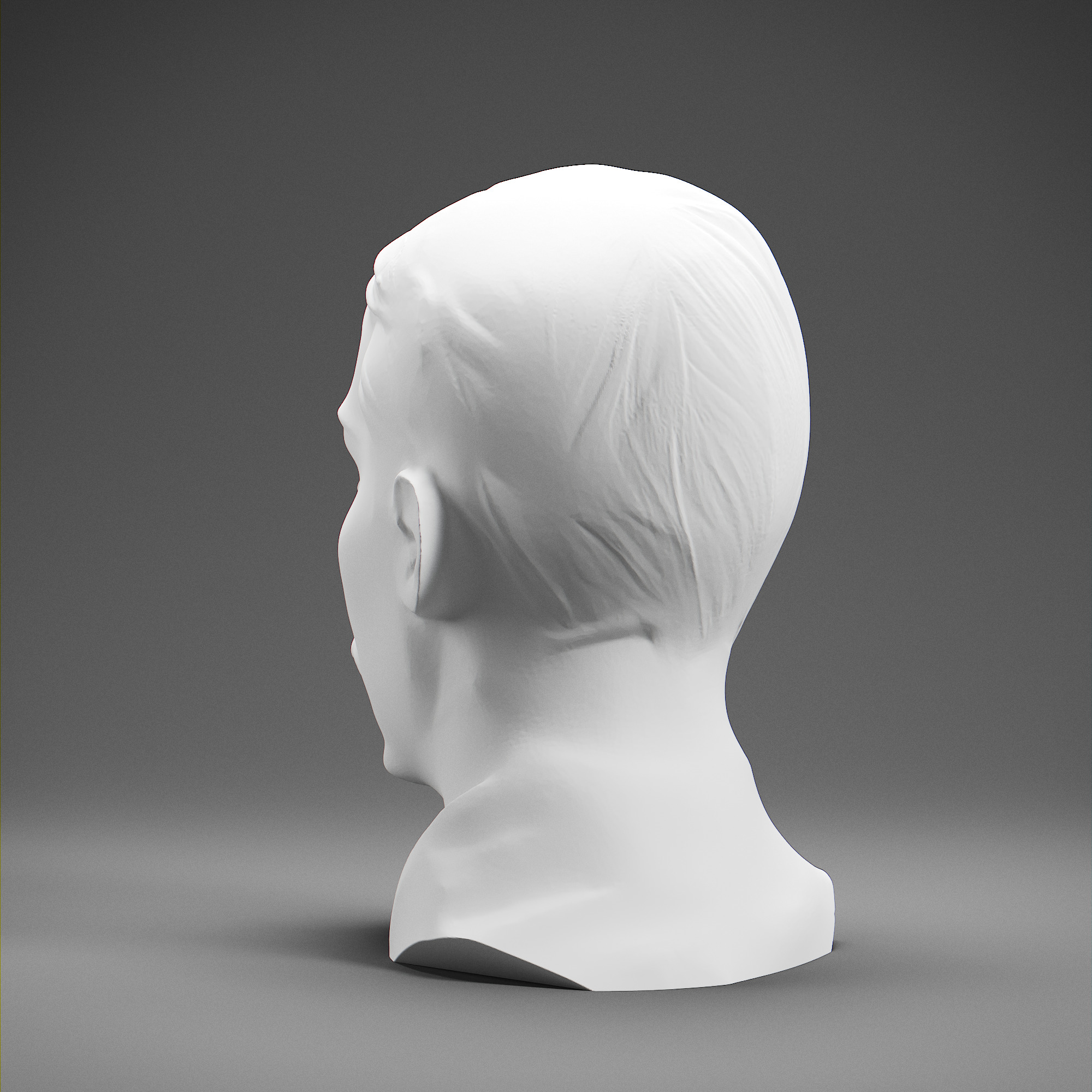 Stefan Zweig 3D print model_3