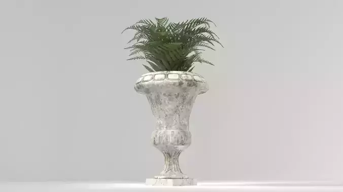 A Fern in an Urn