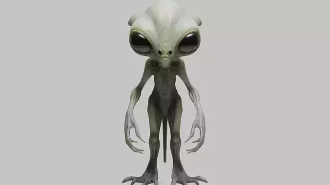 Green Grey Alien Character