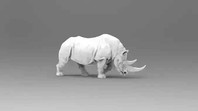 Rhino