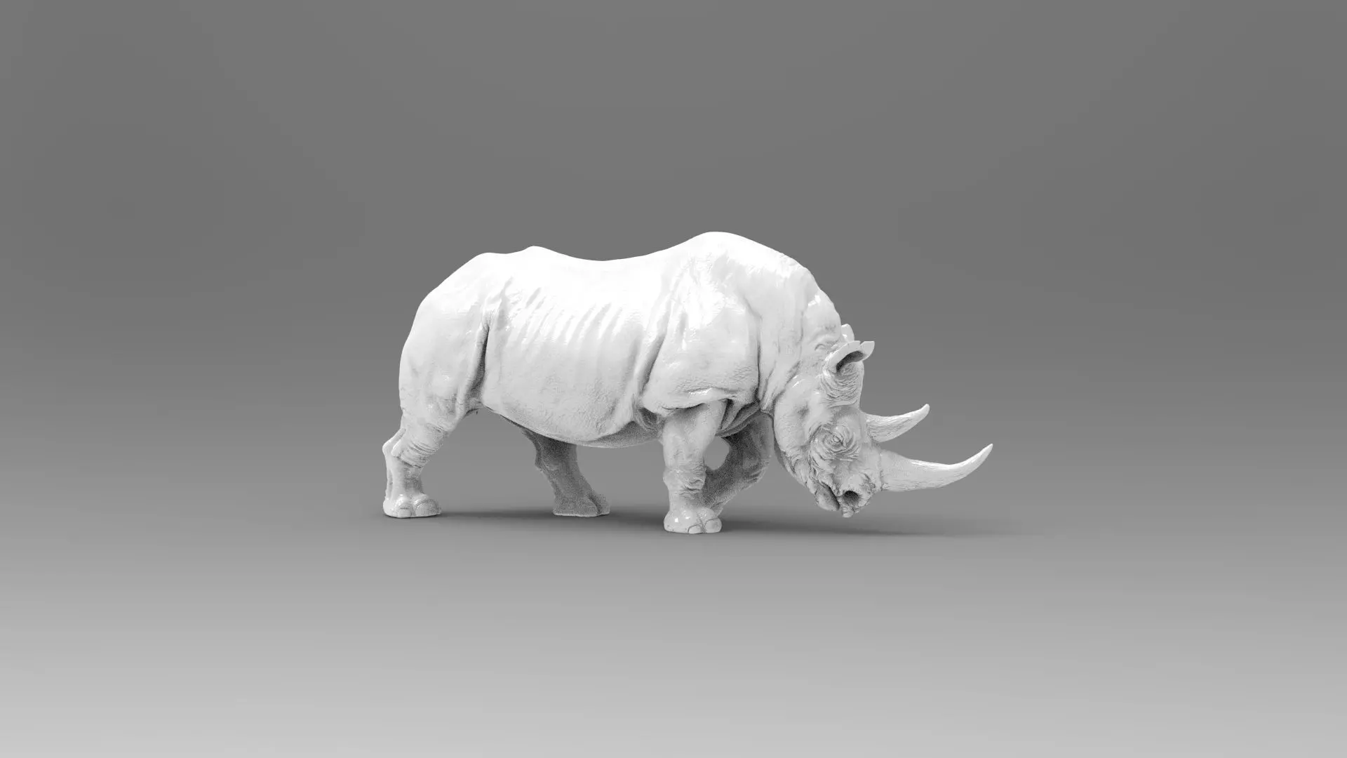 Rhino 3D model_0