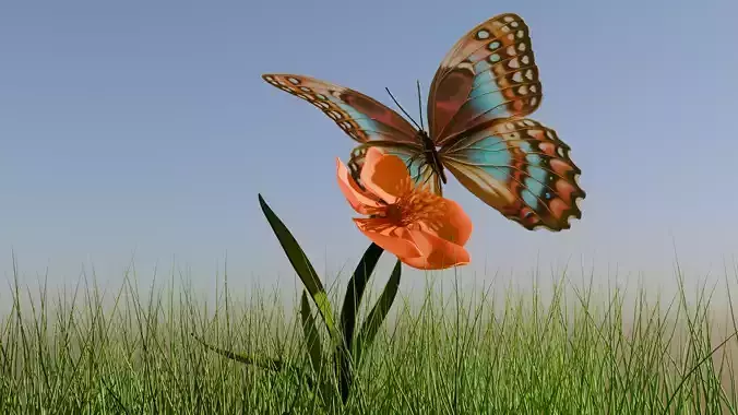 free decorative butterfly Free low-poly 3D model Free low-poly 3D model free decorative butterfly Free low-poly 3D model Free low-poly 3D model