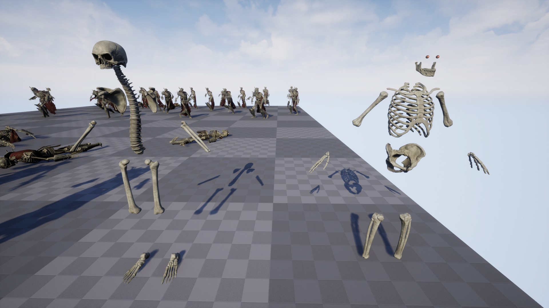 Skeleton 03 Low-poly 3D model_23