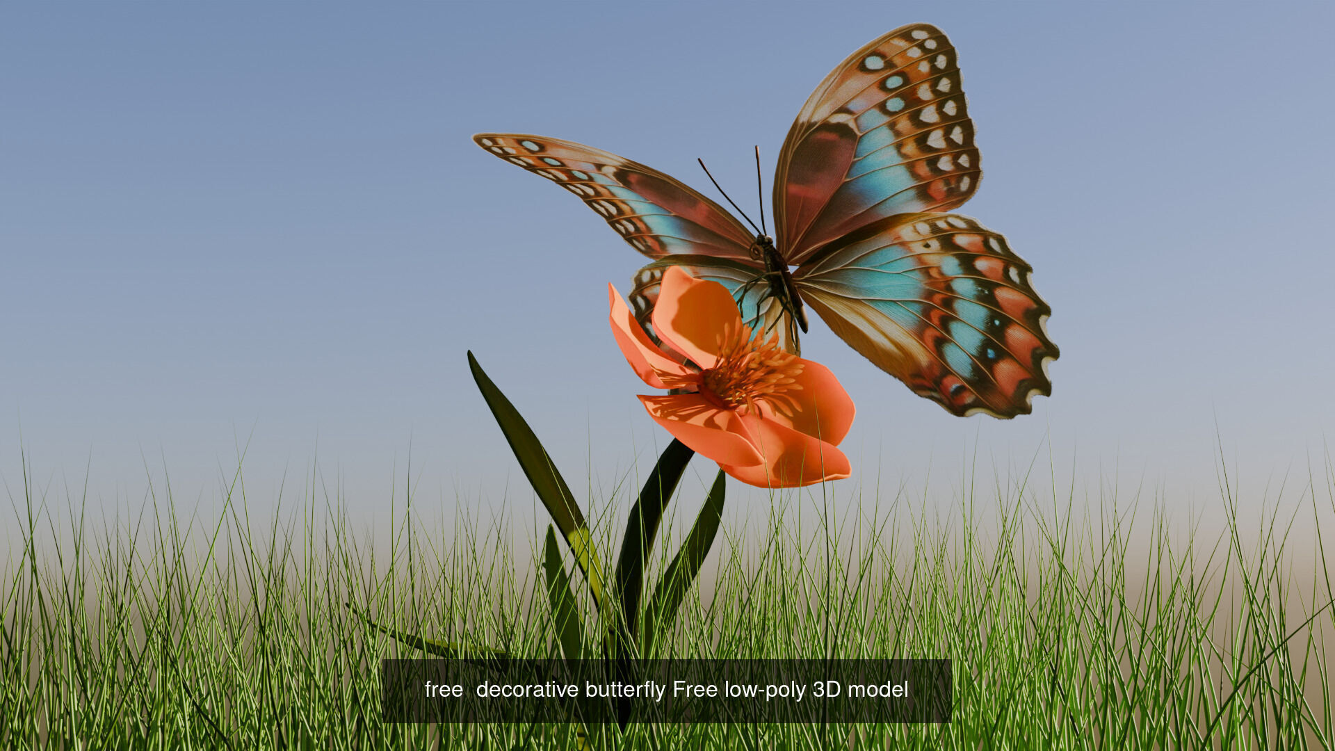 free decorative butterfly Free low-poly  3D Model Collection_3