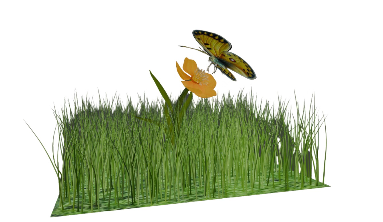 free decorative butterfly Free low-poly  3D Model Collection_4