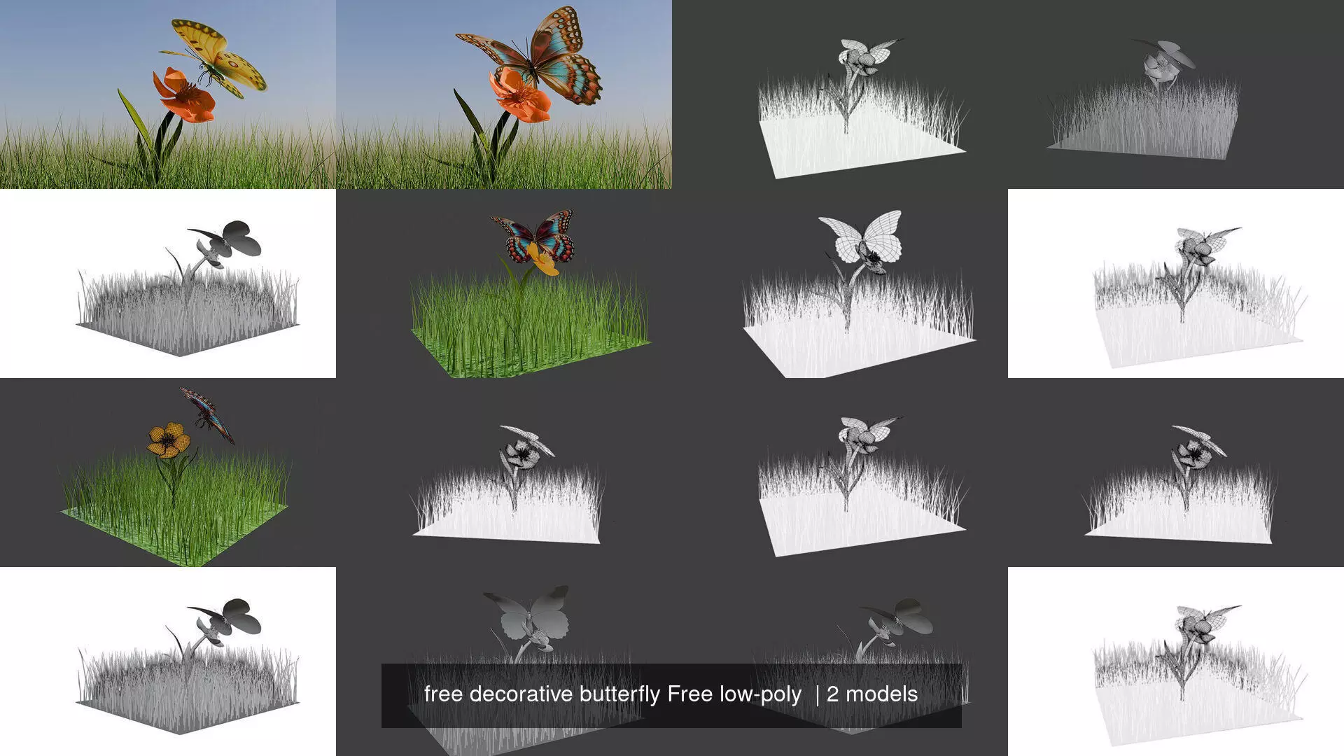 free decorative butterfly Free low-poly  3D Model Collection_1