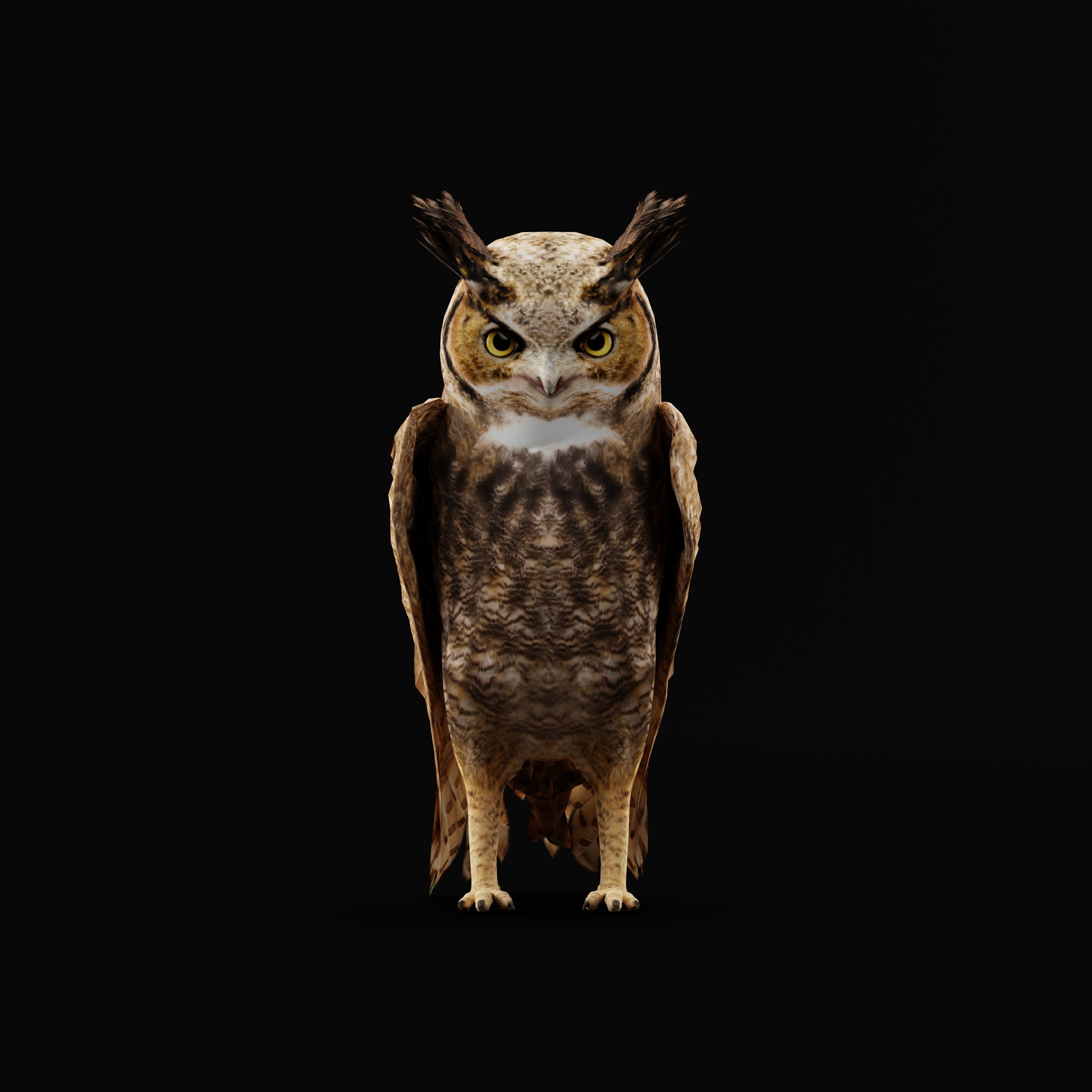 Great Horned Owl Low-poly 3D model_37