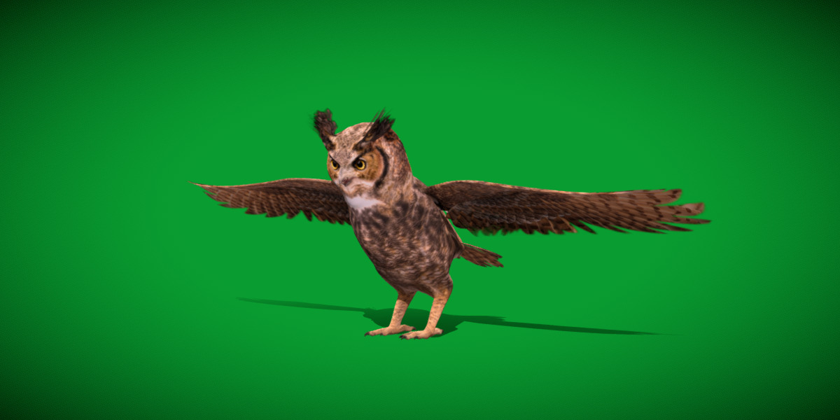 Great Horned Owl Low-poly 3D model_10