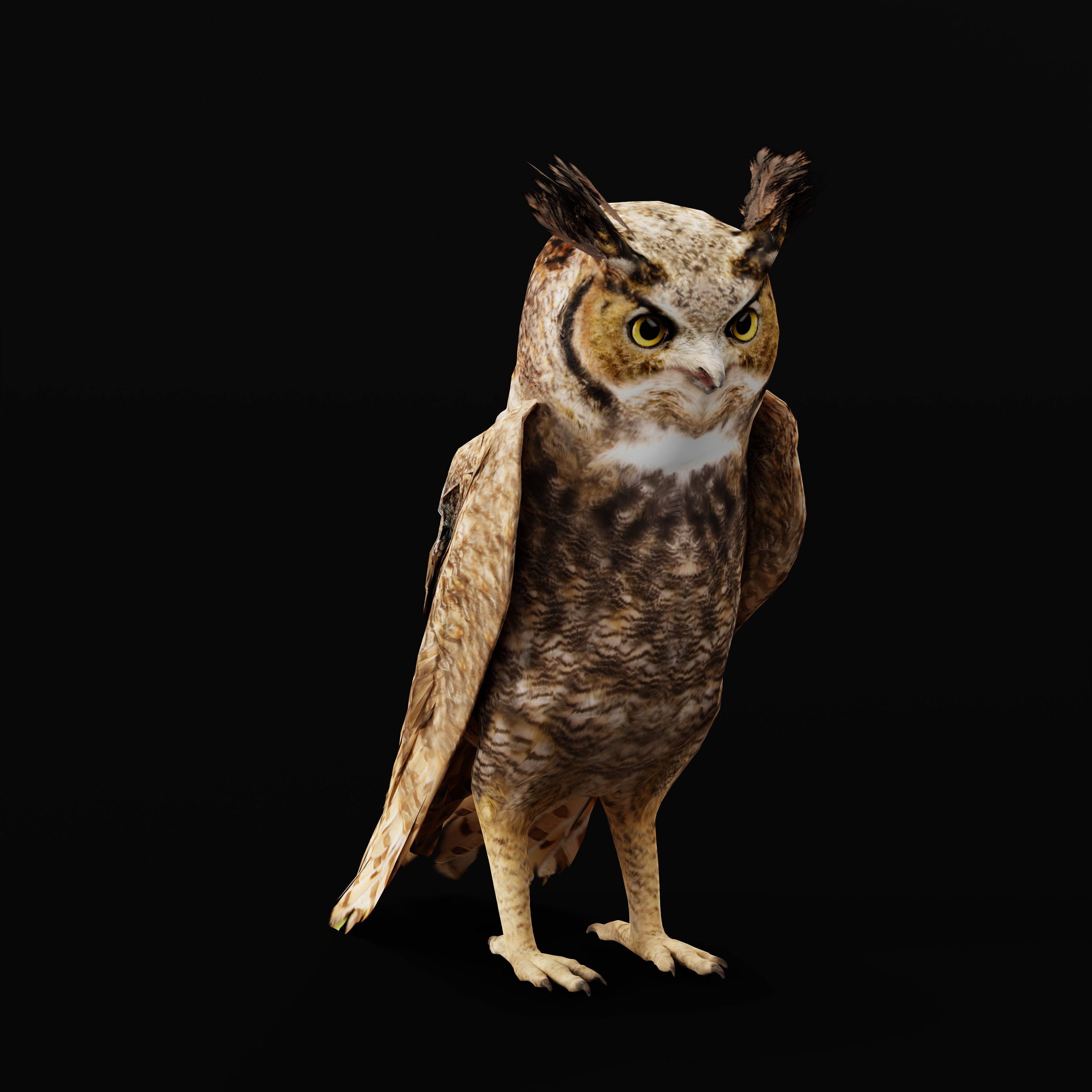 Great Horned Owl Low-poly 3D model_36