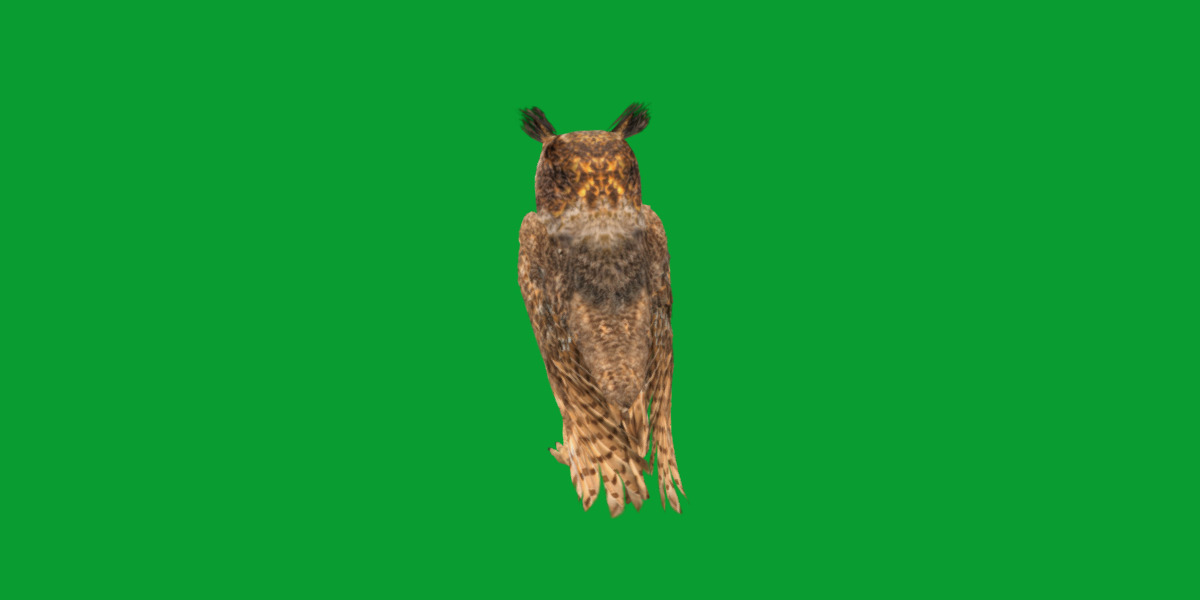 Great Horned Owl Low-poly 3D model_4