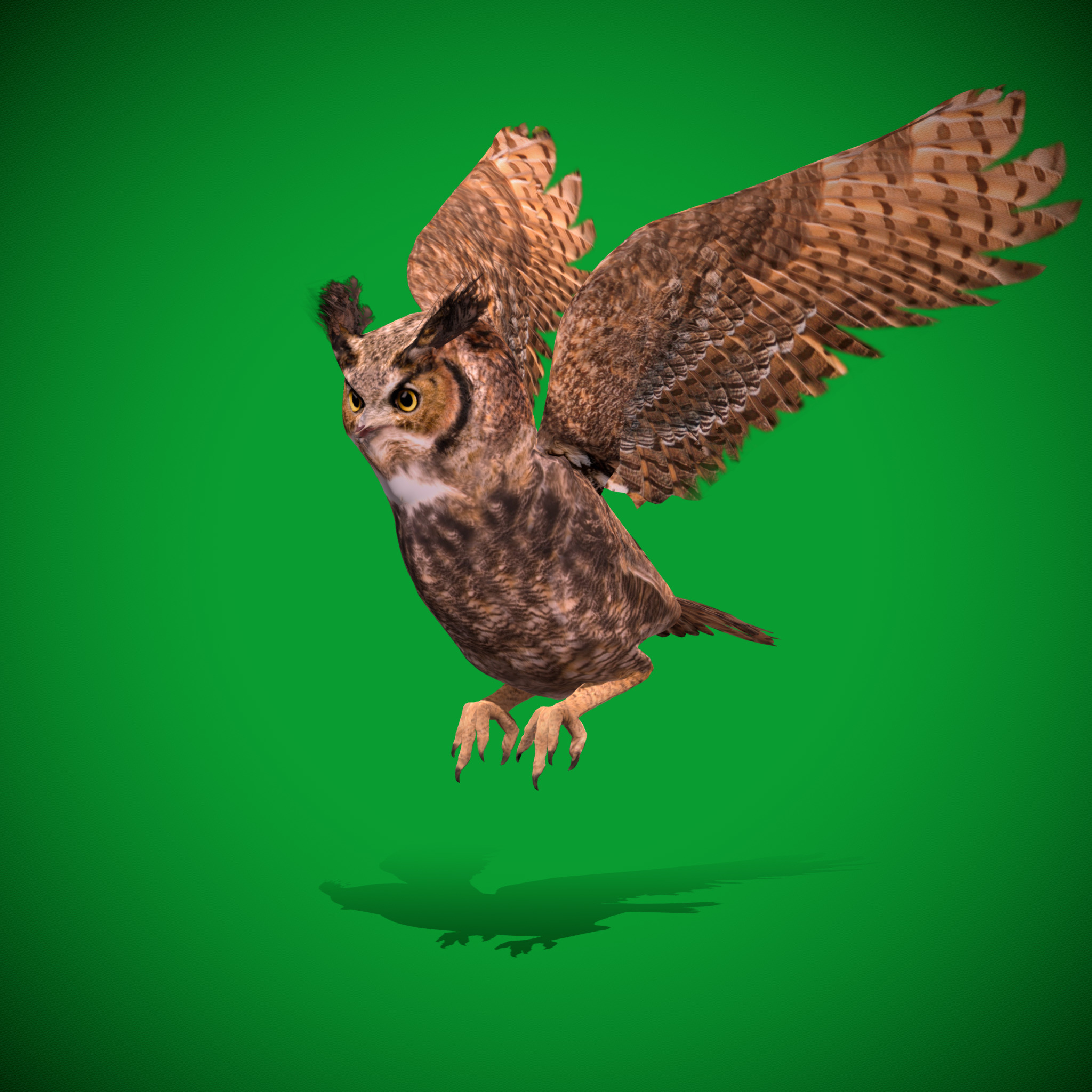 Great Horned Owl Low-poly 3D model_25