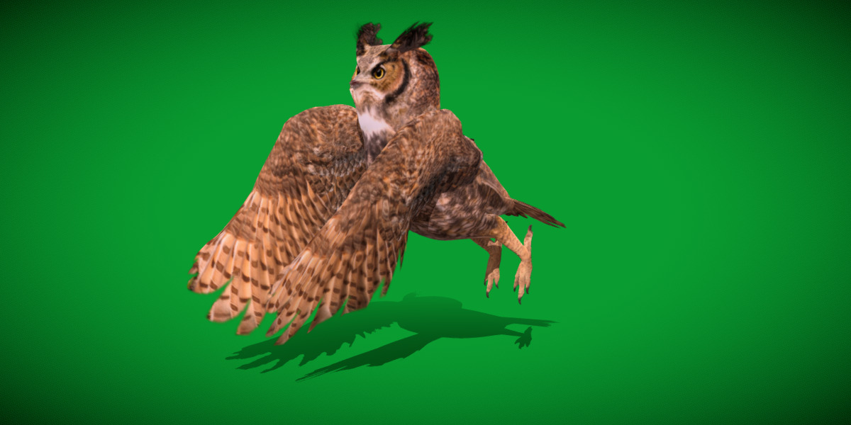 Great Horned Owl Low-poly 3D model_2