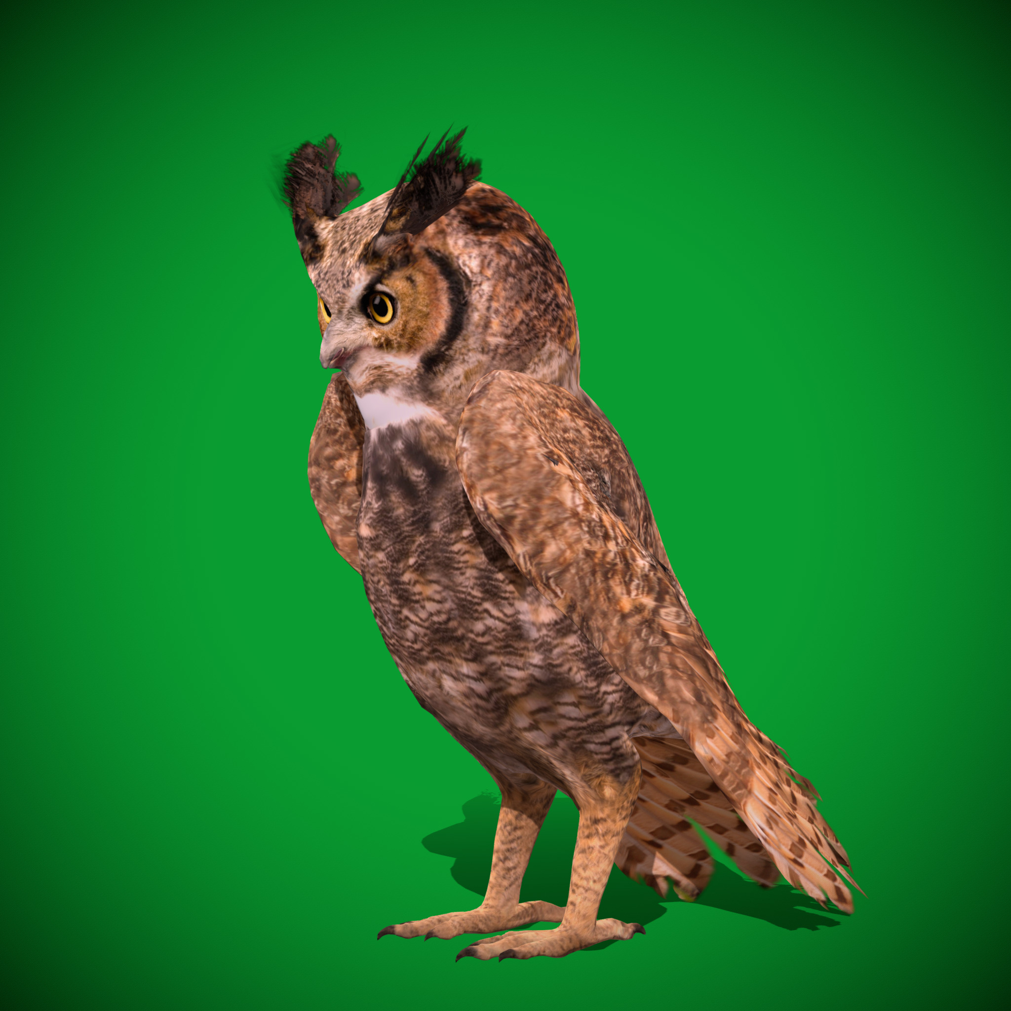 Great Horned Owl Low-poly 3D model_23