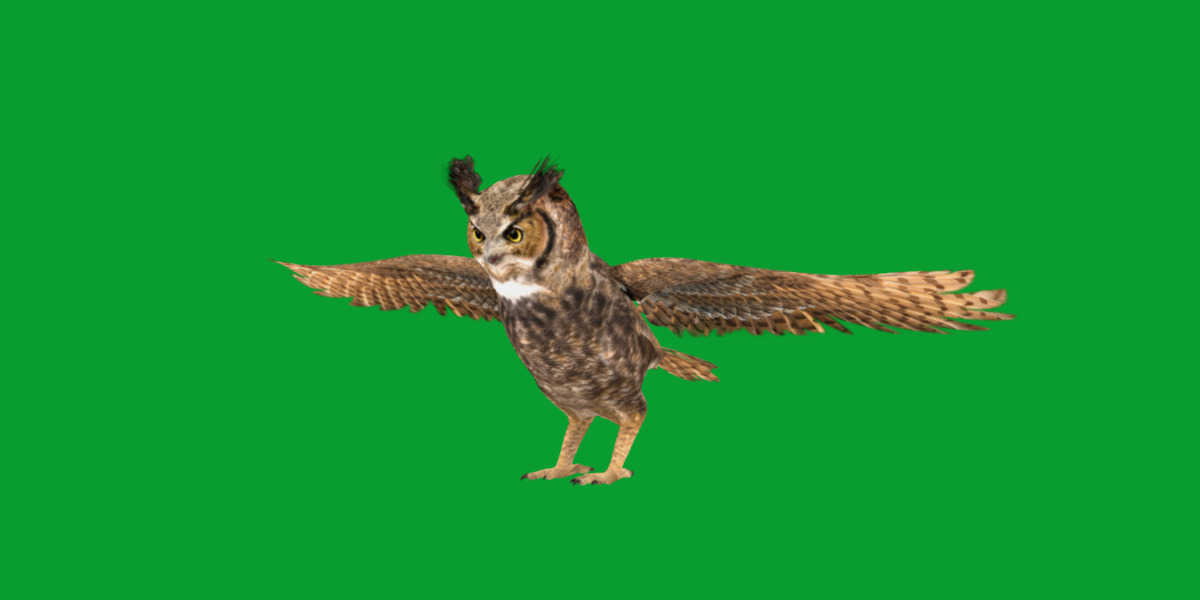 Great Horned Owl Low-poly 3D model_9