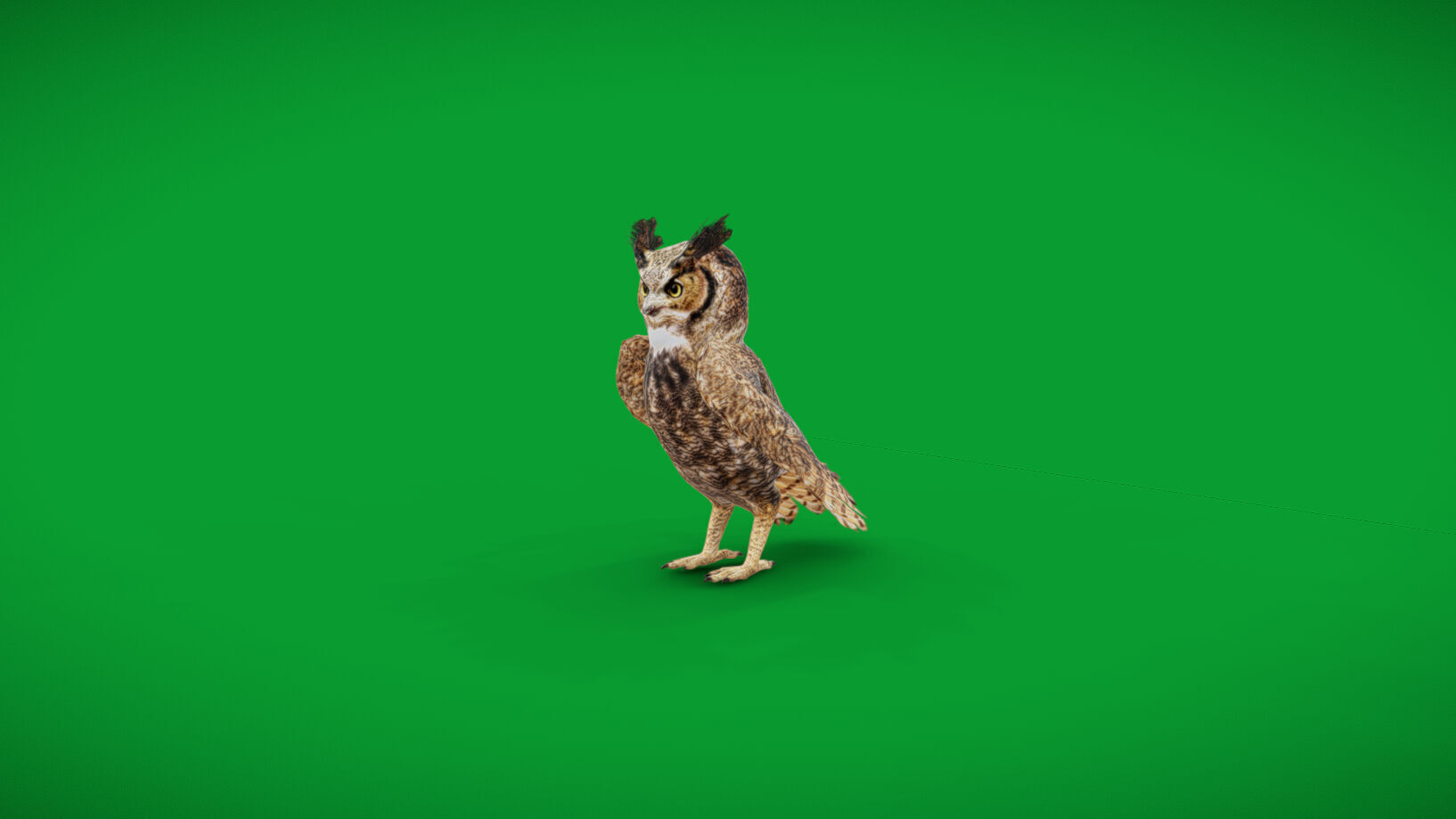 Great Horned Owl Low-poly 3D model_34