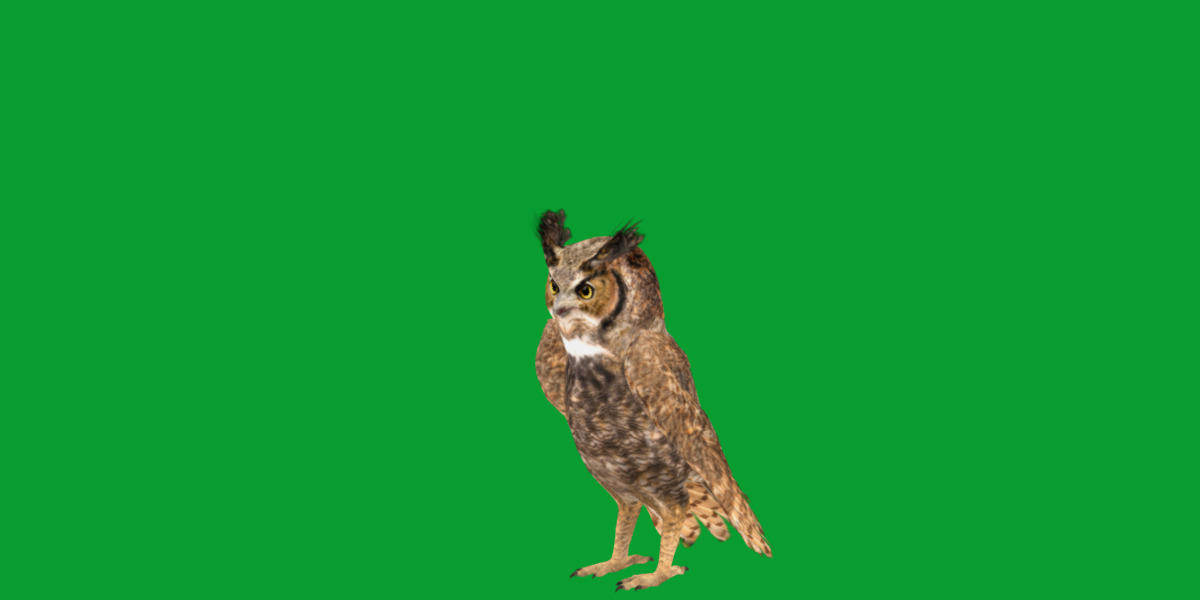 Great Horned Owl Low-poly 3D model_3