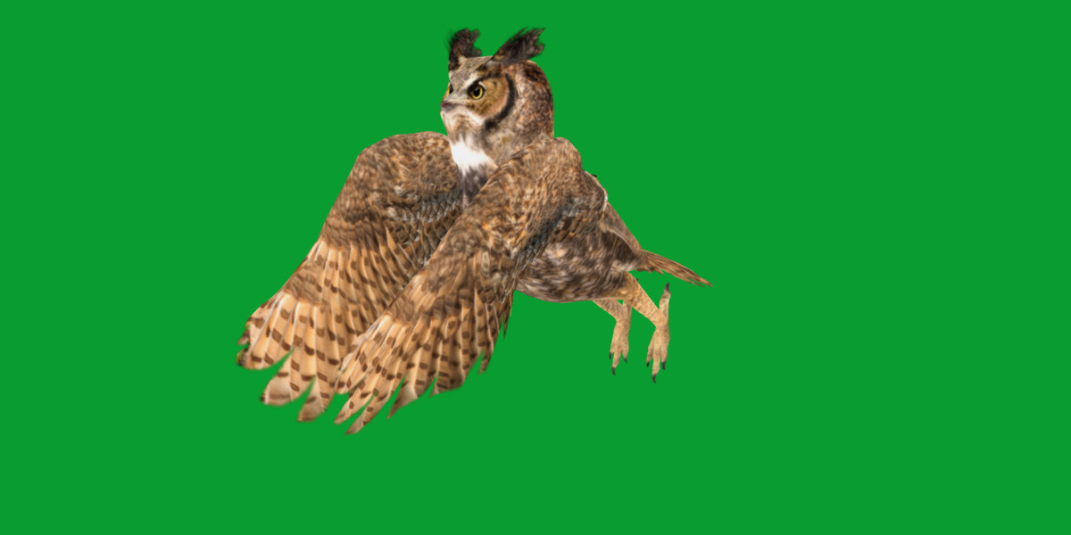 Great Horned Owl Low-poly 3D model_28