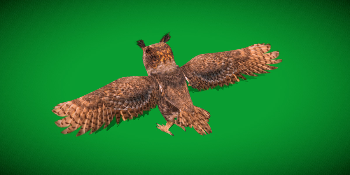 Great Horned Owl Low-poly 3D model_11
