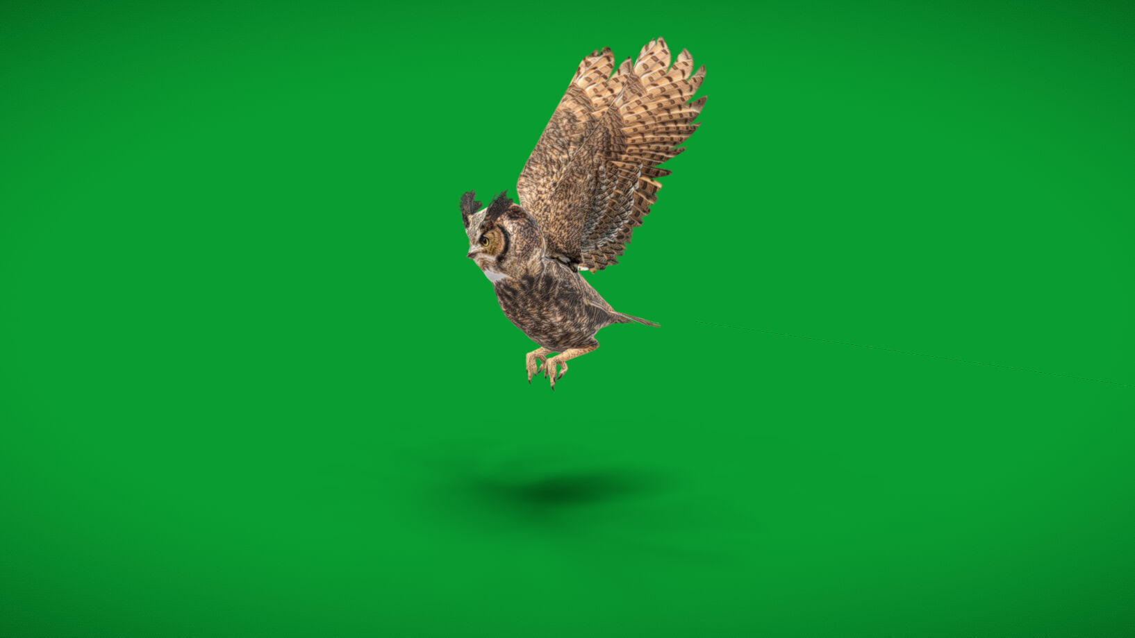 Great Horned Owl Low-poly 3D model_35
