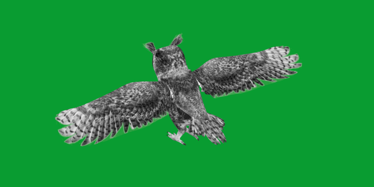 Great Horned Owl Low-poly 3D model_14