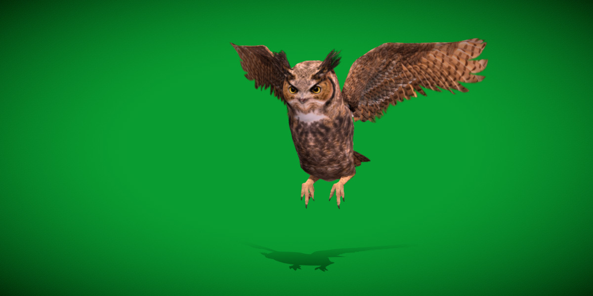 Great Horned Owl Low-poly 3D model_29
