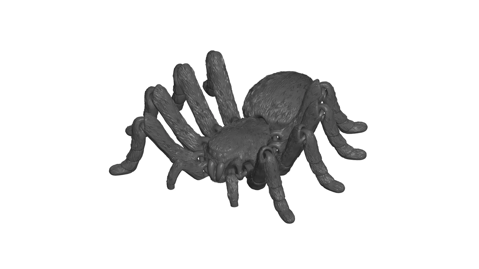 TARANTULE  3D model_0