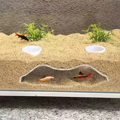 Tunel para peces 6 - acuario - pecera 3D print model